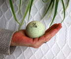 Clay Garden Bath Bomb