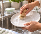 Solid Dish Soap - Apple